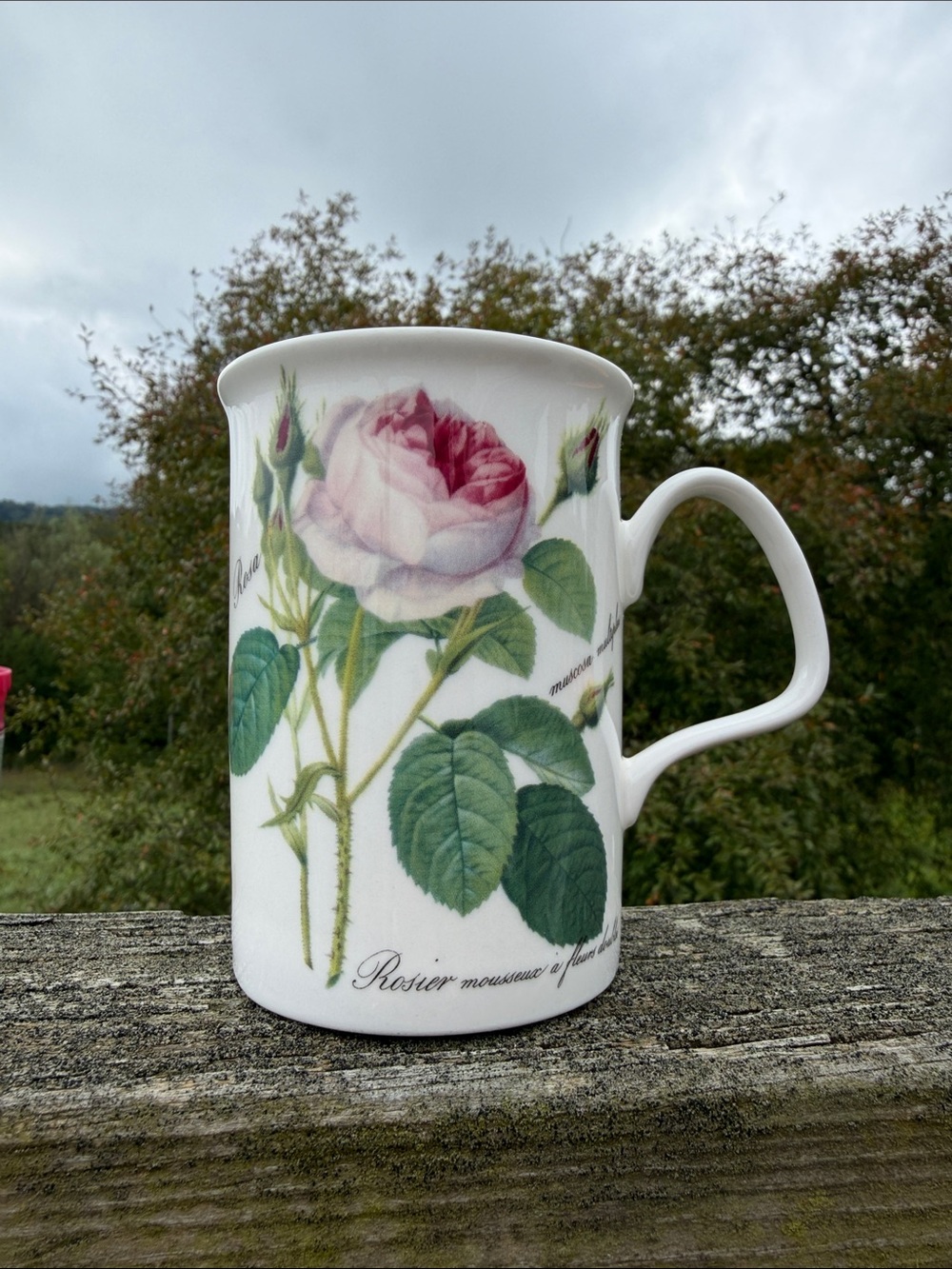 Roy Kirkham Redouté Roses Mug
